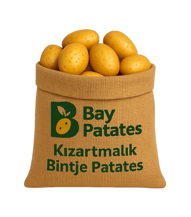 Bintje  - Kızartmalık Taze Patates