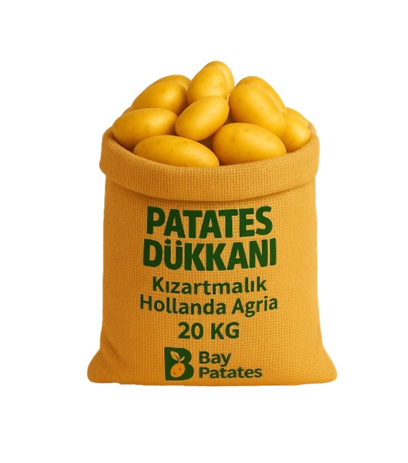 Hollanda Agria - Kızartmalık Taze Patates