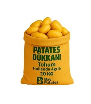 Agria Patates Tohumu