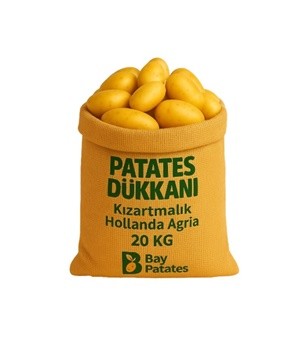 Hollanda Agria - Kızartmalık Taze Patates